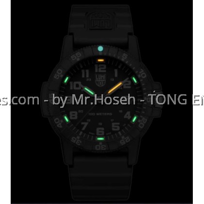 Luminox Leatherback Sea Turtle Giant - 0321 XS.0321.L