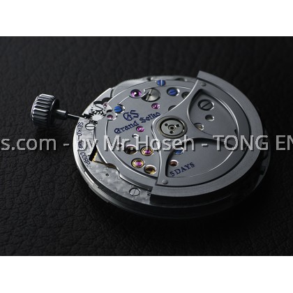 Grand Seiko Evolution 9 Collection Diver Blue "Ushio" SLGA023G 5 Days 9R Spring Drive