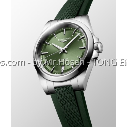 Longines Conquest 38mm L37204029