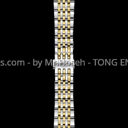 Tissot Le Locle 39.3mm T006.407.22.093.00 T0064072209300